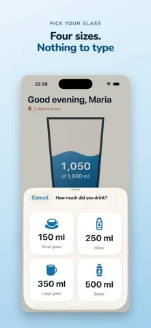 The drink sheet with four large buttons: 150 millilitres small glass, 250 millilitres glass, 350 millilitres large glass and 500 millilitres bottle